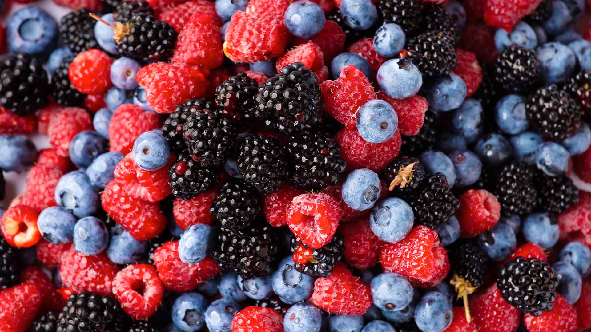 Trans Resveratrol O Que é Para Que Serve Botica Nativa